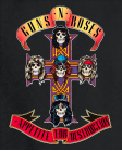 Džemperis Guns and Roses cross
